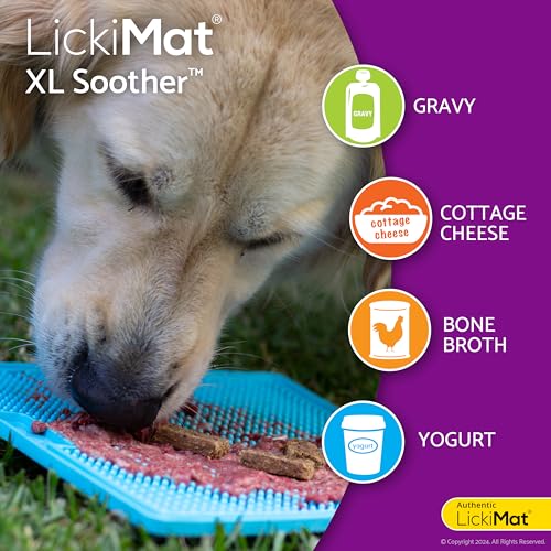 LickiMat X Large Breed Soother Dog Lick Mat Dog Calmer Slow Feeder, Anxiety Reliever Alternative to Puzzle Toys, Slow Feeding Bowls. Use Peanut Butter, Wet, Raw, Mixed Food, Healthy Treats - Turquoise - color: Turquoise
