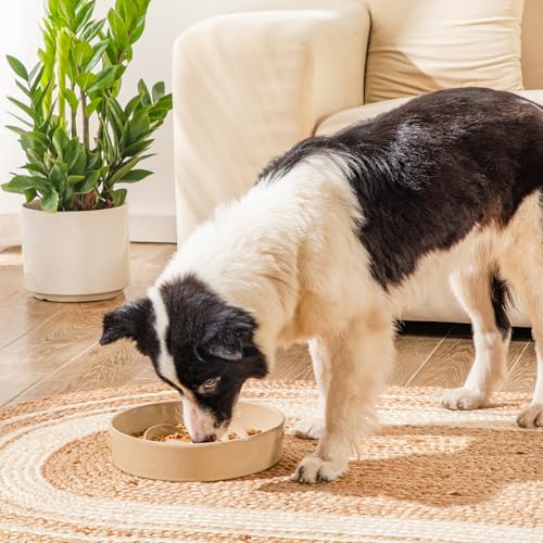 vancasso Ceramic Slow Feeder Dog Bowls, 3 Cups Puzzle Dish for Large Breeds - color: Khaki, size: L - 3 Cups