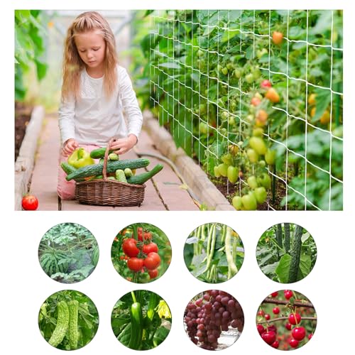 Heavy Duty Garden Trellis Netting, 6 x 30 ft, White, Rectangular, Reusable, Supports Vine Vegetables Fruits Flowers, Ideal for Vertical Horizontal Gardening - size: 6x30ft - 2 Pack