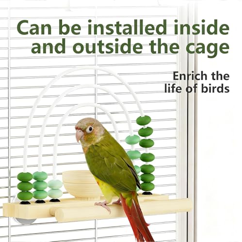 Wooden Foraging Bird Toy with Treat Box & Abacus Beads