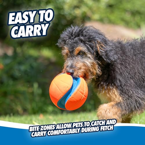 Chuckit! Kick Fetch Ball Dog Toy - Floats in Water - Perfect for Interactive Play - Made with Durable Rubber and Foam - for Large Dogs - Size Large - 8-inch Diameter - 1 Count (Pack of 4) - size: Large (Pack of 4), style: Classic