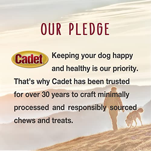 Cadet Stuffed Shin Bones for Dogs, Peanut Butter Flavor, Small, 3 Count - size: 3 Count (Pack of 1)