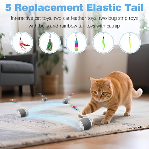 Upgraded 2.36 Inch Large Interactive Cat Toys Ball for Indoor Cats, Gray - color: Gray