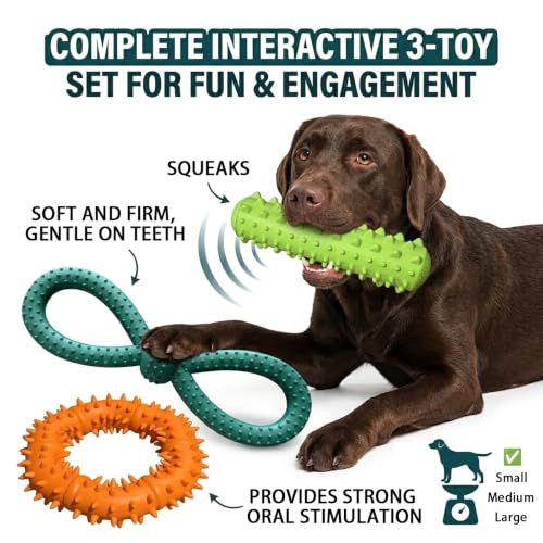 Interactive Multi-Functional Squeaky Dog Toy Set, Tough Rubber Teething Toy