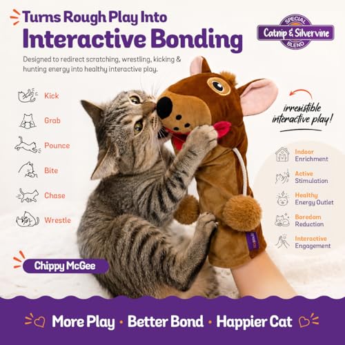 Meow Mitt Wearable Cat Wrestling Glove Puppet - Squirrel - color: Squirrel