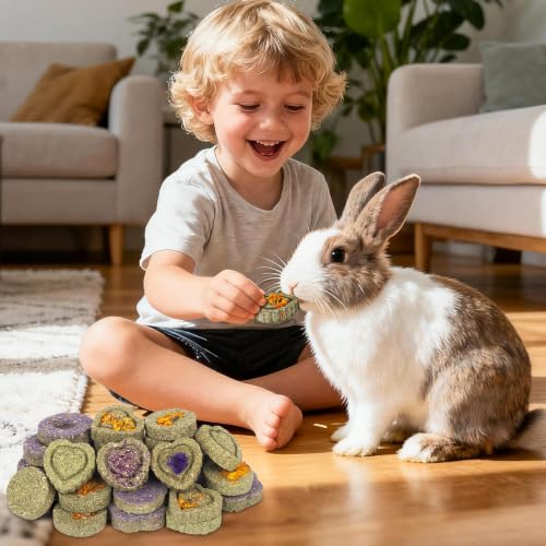 30PCS Guinea Pig Hay Grass Cake Food Set Natural Rabbit Chew Toys for Teeth - size: 30Pack-grass cake