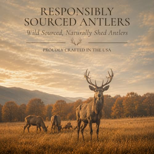 WhiteTail Naturals Whole Deer Antler Dog Chew - Medium 5-6" - 1Ct. - size: Medium (Pack of 1)