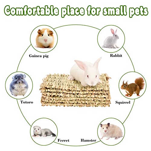 Grass mat for Rabbit Bunny Sangle Sopffy 6 Pcs,Rabbit Hay Mat,Small Animal Cages Hay Mat,Rabbit Grass Mat,Nesting and Toys for Guinea Pig Parrot Rabbit Bunny Hamster Chinchilla Squirrel