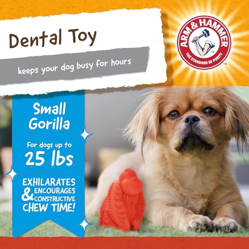 Arm & Hammer Super Treadz Mini Gorilla Dental Chew Toy, Small, 3.5 in, 24Pk - size: Small (Pack of 24), style: Gorilla