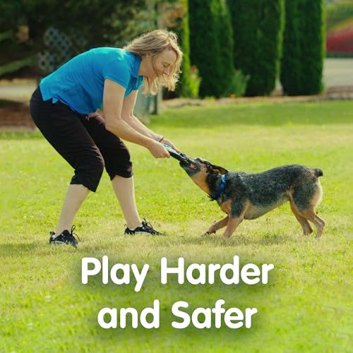 The ZooKeeper ZooBee Flying Disc Dog Toy – Soft & Durable Toss Disc, Yellow - color: Yellow