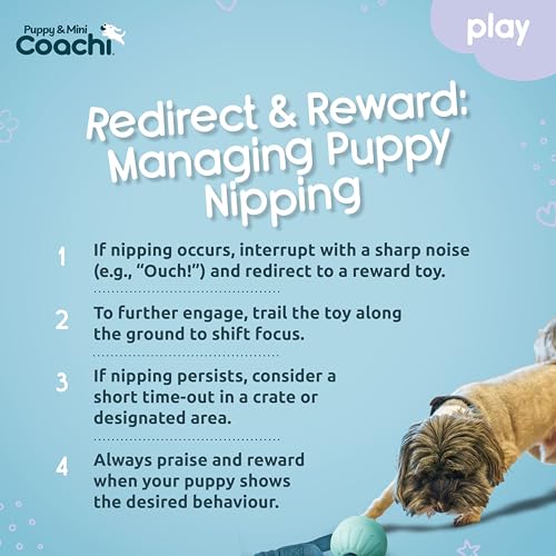 Coachi Puppy & Mini Tuggi Ball - Dog Toy for Tug of War & Play - style: Tuggi Ball