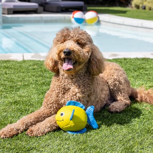 Fringe Studio PIPSQUEAK Floating Dog Toys, Pet Shop Collection (640005) - color: Pipsqueak