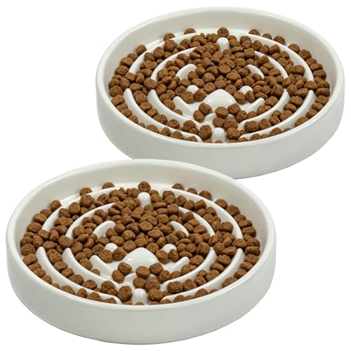 Ceramic Slow Feeder Dog Bowls，6.4inch Cat Slow Feeding Bowl for Small Breed Dogs and Cats,Set of 2 Fun Maze Interactive Bloat Stop Puzzle Bowls Dishwasher Safe - color: White