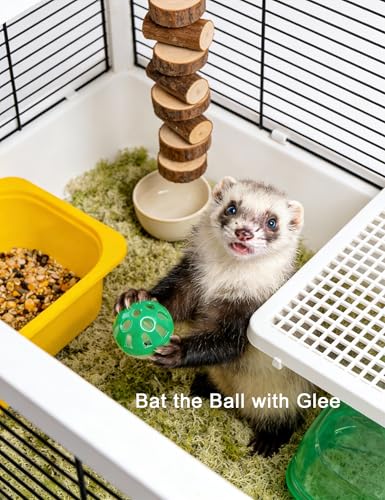 10 Pack Hollow Cutout Bell Play Balls for Ferret, Non Toxic, PP Material