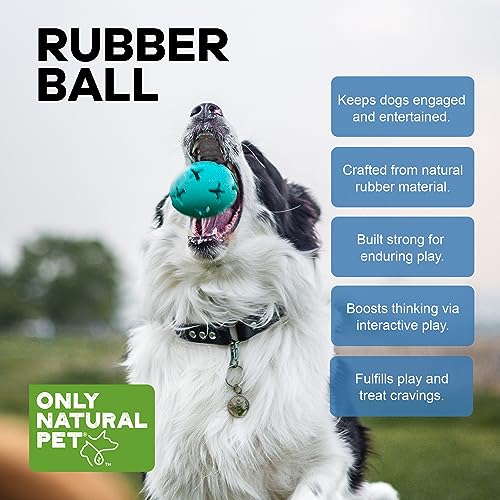 Only Natural Pet Rubber Boredom Buster Treat Stuffer Dog Toys - Interactive Stuffable Feeder Dispenser Fillable Durable Play Puppy Medium Large XS Chew Pup Hide Holder Easy Refill -RubberBall/Teal - color: Teal