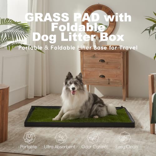 HQ4US 4LEGS Dog Grass Pad with Dog Litter Box, Foldable X-Large Liner Base - size: X-Large for Dog＜ 38" Length