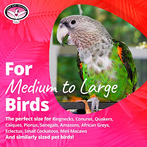 Super Bird Creations SB634 4 Way Forager Bird Toy with Clear Acrylic Cups, Medium to Large Bird Size, 12” x 7” x 7”