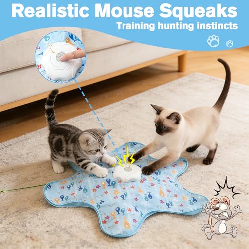 Interactive Cat Toys, Automatic Activated Hide and Seek Indoor Toys