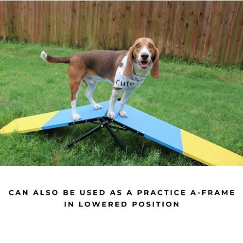 Better Sporting Dogs Practice See Saw Dog Agility Teeter