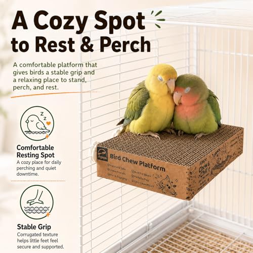 Agape Shreddable Bird Cardboard Platform, Natural Parrot Chew Toy and Perch - size: Large