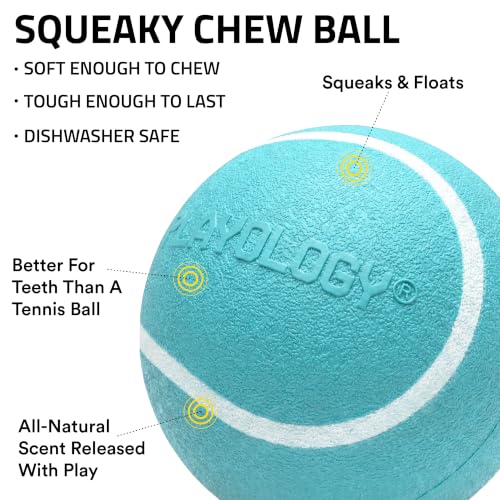 Playology Squeaky Chew Ball Dog Toy - Medium, Peanut Butter Scent - size: Medium, style: Peanut Butter