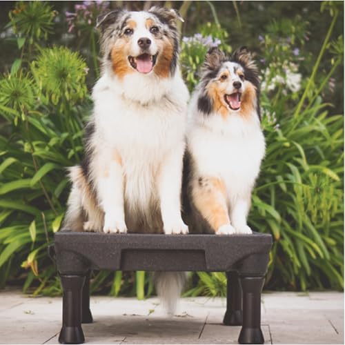 Blue-9 KLIMB® Dog Training Platform, Durable Portable, Made in USA, Tan - color: Tan