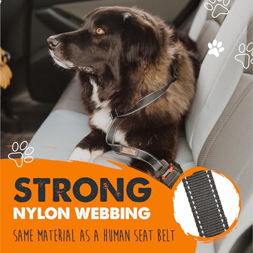 Mighty Paw Dog Seat Belt for Car, Heavy-Duty Aviation Aluminum Carabiner - style: Buckle Attachment (Most Popular)