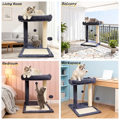 Cat Scratching Post, 19.69" H(50cm) Cat Tree with Cat Bed, Scratching Posts for Indoor Cats with Two Plush Balls Toy, Small Cat Tree for Kittens/Cats Playing and Relaxing (20 in Grey Cat Tree) - size: 20 in