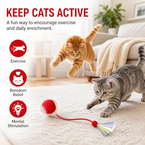 Interactive Cat Toy Ball with LED Lights, USB-C Rechargeable Automatic Cat Toy with Feather Tail, Smart Exercise Toy for Indoor Cats & Kittens, Upgraded Version - color: Red ball