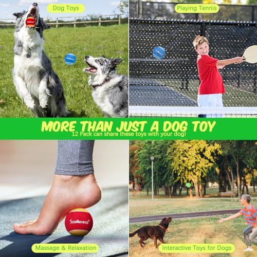 SCENEREAL Squeaky Tennis Balls for Dogs, 2.5" 12 Pack Puppy Fetch Balls Toys as Gifts for Holiday Halloween Thanksgiving Christmas, Interactive Dog Toys for Small Medium Sized Dogs Throwing Training