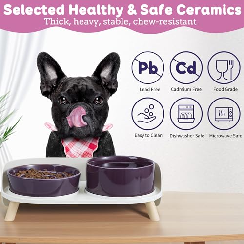 Elevated Slow Feeder Dog Bowls with Splash Proof Stand, Slow Eating 5X - color: Purple