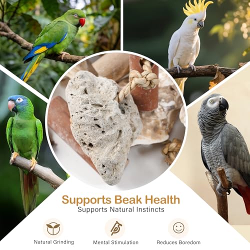 18" Natural Bird Toy for Medium & Large Parrots,Multi-Texture Chew & Forage