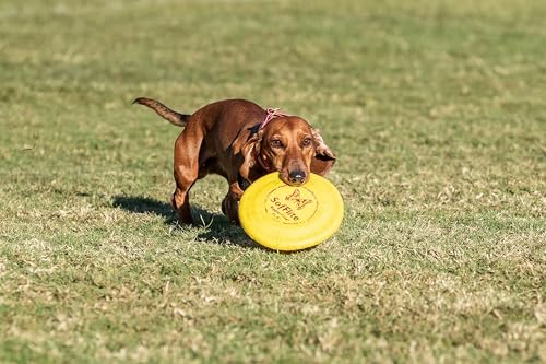 Hyperflite Pup SofFlite Soft Dog Flying Disc, 2 Pack, Small Dogs