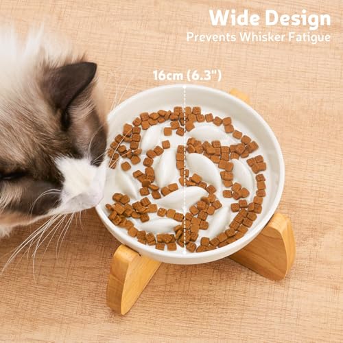 Raised Ceramic Slow Feeder Cat Bowl 6.3" Wide with Stand (1 Pack) - color: Raised Slow Feeder Bowl (1 Pack)