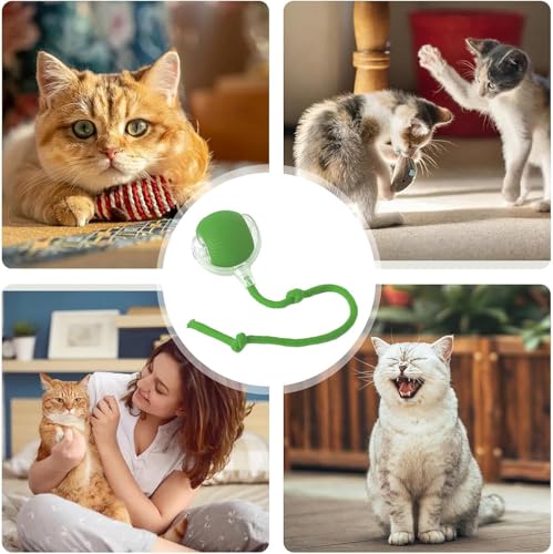 Interactive Cat Ball Toy with Rope, Self-Rolling Motion Ball for Indoor Cats