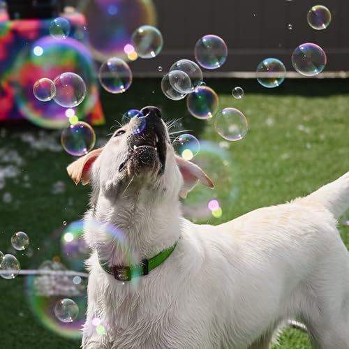 Atomic Bubbles: Puppy Love Bubbles: Birthday Cake Scented 2 Pack - 4oz Bottles, Dog Interactive Toy, Pet Safe, Non-Toxic, Indoor/Outdoor, Long Lasting - style: Birthday Cake