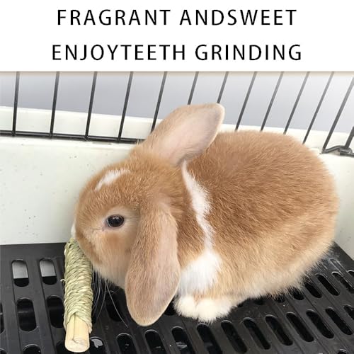 Rabbit Toys 30Pcs 3 Flavours for Teeth Grinding - Chew Toys for Hamsters, Guinea Pigs, Chinchillas - color: 30Pcs