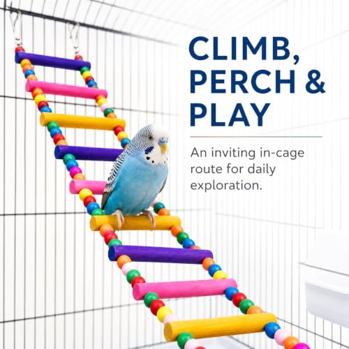 Flexible Wooden Bird Ladder Bridge for Cages, 10 in, 4 Steps - color: 10Inch- 4 Ladders
