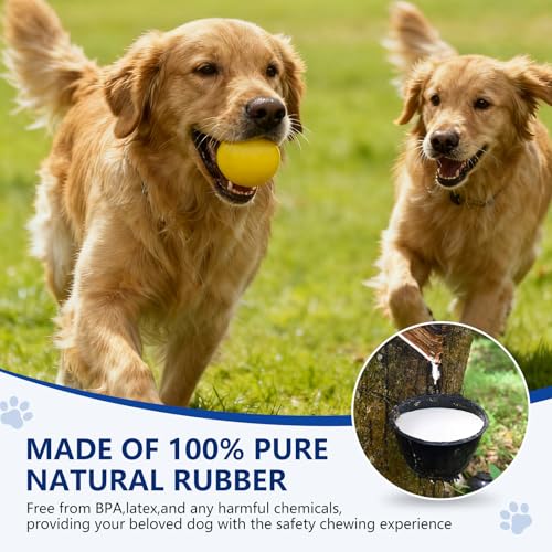 Indestructible Solid Rubber Ball for Dog, 3 Pack 2.5In