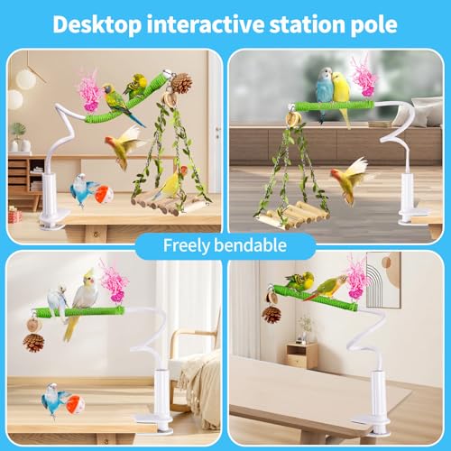 Bird Perch with Swing, Movable Desktop Stand with Clamp