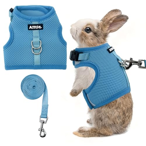 AIITLE Breathable Escape Proof Rabbit Harness and Leash Set, Blue L - color: Blue, size: L
