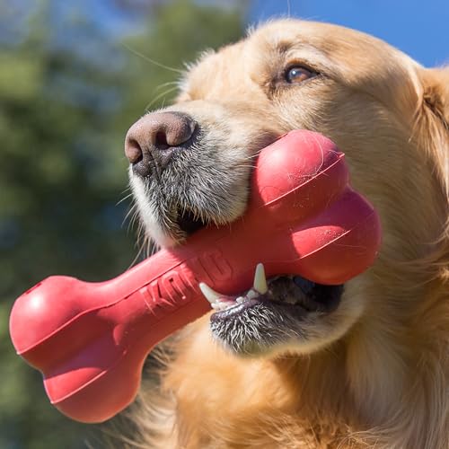 KONG Goodie Bone, Natural Rubber Treat-Dispensing Toy, Red, for Medium Dogs - size: Medium (Pack of 1)