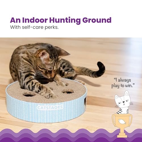 Catstages Scratch N' Hunt Interactive Cat Puzzle Toy with Scratcher, 11"