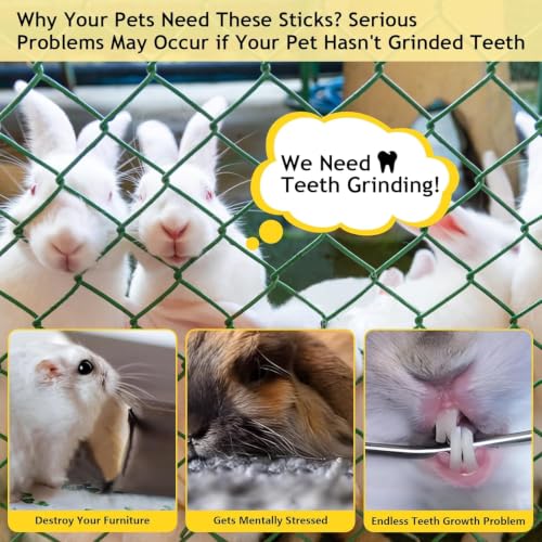 2000g Organic Apple Sticks Small Animals Teeth Grinding Chew Toy - size: 4.41 Pound (Pack of 1)