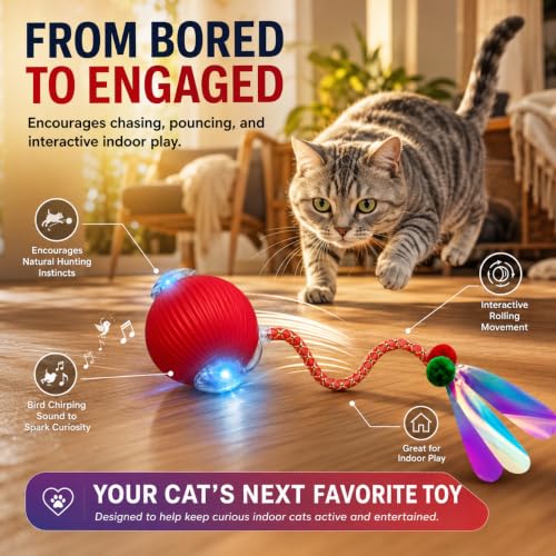 Interactive Cat Toy Ball, Automatic Cat Toy with Bird Chirping Sound, 3 Play Modes & 2 Tails,Rechargeable Smart Moving Pet Toy,Speedy Tail 2.0 Cat Toy,Cat Toys Interactive for Indoor Cats & Small Dogs