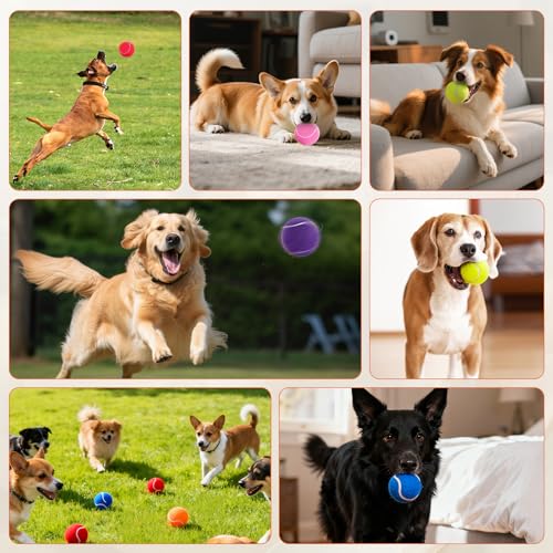 FURWEY Yellow Tennis Balls for Dogs, 2.5 inches, 16 Pack, Non Squeaky - color: yellow, size: 16P