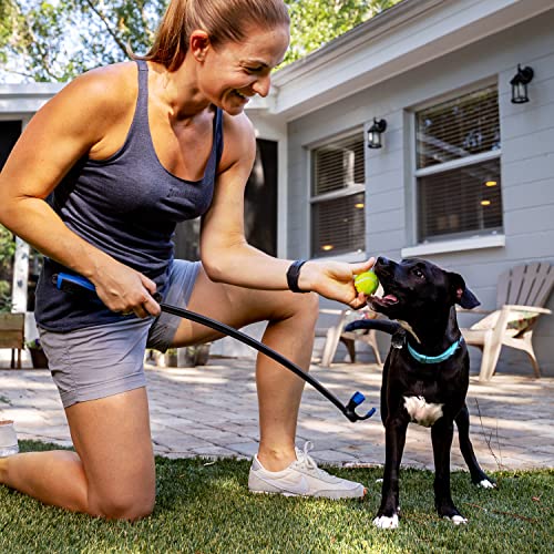 Franklin Pet Supply Co. Mini Tennis Ball Launcher for Dogs - RSF Mini Tennis Ball Thrower for Fetch + Active Play - Perfect Toy for Small Dogs - style: 1.7" Ball