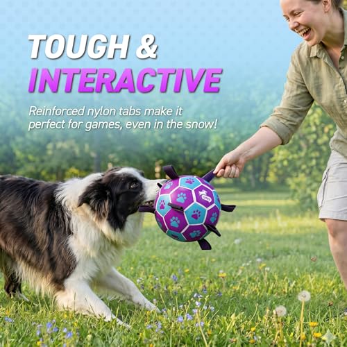 QDAN Dog Toy Soccer Ball, Durable Dog Balls for 30-90 lbs Small Medium Dogs - color: Blue Pruple, size: Large Size 3 (8 Inch)