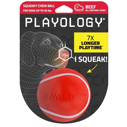 Playology Squeaky Chew Ball Dog Toy - Medium, Beef Scent - size: Medium, style: Beef