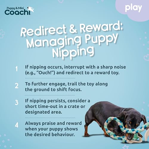 Coachi Puppy & Mini Tuggi Tug - Dog Toy for Tug of War & Play - style: Tuggi Tug